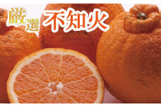 ＼厳選！！／ 不知火1.3kg+39g（傷み補償分）【デコポンと同品種・人気の春みかん】＜2月より発送＞ ※2024年2月上旬頃～3月下旬頃に順次発送予定 ※北海道・沖縄・離島への配送不可 / しらぬい デコポン デコ  柑橘 5000円【ikd052-1】