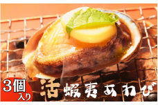 極上！紀州蝦夷鮑×3個　五つ星旅館にも出荷される極上アワビ＜日付指定OK＞【riz103】