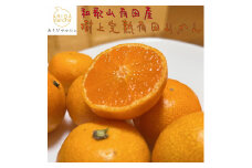 ＜12月上旬～下旬頃＞【先行予約】【農家直送】【和歌山県産】こだわりの樹上完熟有田みかん（2S～Lサイズ混合）5kg みかん ミカン 有田みかん 温州みかん 柑橘 有田 和歌山【ard150-2】