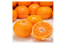 ＜11月上旬～＞濃厚有田みかん【サイズ混合】 4kg ※2024年11月上旬～下旬頃に順次発送予定【ard157A-1】
