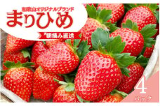 【先行予約】特大まりひめ いちご 朝摘 6個～11個入り×4パック 2026年1月中旬～2026年3月末頃に順次発送予定（お届け日指定不可）/ いちご 苺 まりひめ 和歌山 フルーツ 果物 くだもの【kiy004A】
