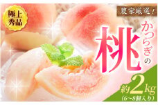 【先行予約】【厳選】あふれる果汁で口いっぱい！ 和歌山県産 桃 約2kg（6個~9個） 2025年6月末頃～2025年8月末頃に順次発送（お届け日指定不可）/ 和歌山 桃 モモ フルーツ もも 白桃 果物 くだもの【kgr001】