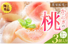 【先行予約】【厳選】あふれる果汁で口いっぱい！ 食べきりサイズ 和歌山県産 桃 3玉 2025年6月末頃～2025年8月末頃に順次発送予定（お届け日指定不可）/ 和歌山 桃 モモ フルーツ もも 白桃 果物 くだもの【kgr002】