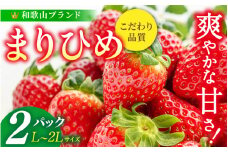 【先行予約】まりひめ いちご 12粒～15粒入り×2パック（500g）2026年1月初旬～2026年3月中旬頃に順次発送予定（お届け日指定不可）/ いちご 苺 まりひめ 和歌山 フルーツ 果物 くだもの【kgr007A】
