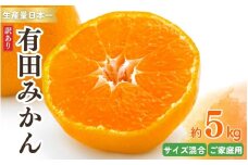 紀州有田みかん 訳あり 約5kg キズ ご家庭用 サイズ混合　※2025年11月下旬～2026年1月中旬頃より順次発送予定　※北海道・沖縄・離島配送不可【sml130A】