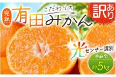 【訳あり】農家直送 有田みかん 約5kg ご家庭用 サイズ混合 ※2025年11月中旬より順次発送予定（お届け日指定不可）※北海道・沖縄・離島への配送不可 訳ありみかん みかん ミカン 蜜柑 柑橘 フルーツ 果物 くだもの 温州みかんサイズ混合 訳ありみかん 温州みかん 有機質肥料100% ふるさと納税 柑橘 有田 産地直送【nuk161C】