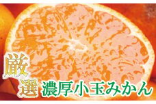 厳選　小玉な有田みかん2.5kg+75g（傷み補償分）【光センサー選果】＜11月上旬より順次発送予定＞【ikd155A】