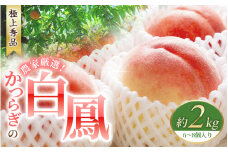 【予約受付】桃の王様 白鳳 <特秀品> 約2kg（6個~9個） 2025年6月末頃～2025年7月末頃に順次発送予定（お届け日指定不可）/ 桃 もも 白鳳 フルーツ 果物 くだもの 【kgr009】