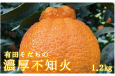 【先行予約】有田育ちの濃厚不知火(ご家庭用)(通称デコポン)　約1.2kg　【ard208】