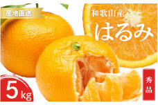 【先行予約】秀品 はるみ 和歌山 有田 S～2Lサイズ 大きさお任せ 5kg【2025年1月下旬～3月下旬までに順次発送予定】/ みかん フルーツ 果物 くだもの 蜜柑 柑橘【ktn045】