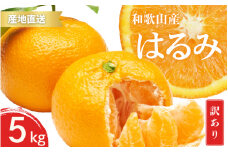 【先行予約】訳あり はるみ 和歌山 有田 2S～3Lサイズ混合 5kg【2025年1月下旬～3月下旬までに順次発送予定】/ みかん フルーツ 果物 くだもの 蜜柑 柑橘【ktn050】