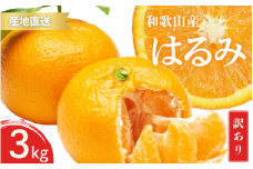 【先行予約】訳あり はるみ 和歌山 有田 2S～3Lサイズ混合 3kg【2025年1月下旬～3月下旬までに順次発送予定】/ みかん フルーツ 果物 くだもの 蜜柑 柑橘【ktn051】