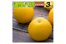 【先行予約】【産地直送】濃厚八朔（ご家庭用）約3kg｜はっさく 柑橘 サイズおまかせ 期間限定 ※着日指定不可　※2025年2月中旬～3月下旬頃に順次発送予定【ard168A】