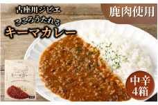 古座川ジビエ　こころうたれるキーマカレー4箱セット（160g×4個）【gbe108】