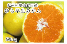 紀州和歌山有田産ゆら早生みかん 5㎏ 先行予約 ※2025年10月上旬頃～2025年10月末頃順次発送（お届け日指定不可）【uot721】