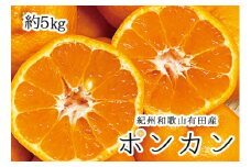 紀州和歌山有田産ポンカン　5㎏	※2026年2月上旬頃～2026年2月下旬頃に順次発送（お届け日指定不可）【uot722】
