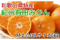 [秀品]和歌山有田みかん　5kg(MサイズまたはLサイズのいずれか) ※2024年11月中旬～1月中旬頃順次発送 みかん 柑橘類【tec834A】