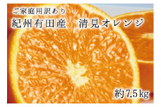 【ご家庭用訳アリ】紀州有田産清見オレンジ　7.5kg 	※2026年3月下旬頃〜2026年4月中旬頃に順次発送予定(お届け日指定不可)【uot730】