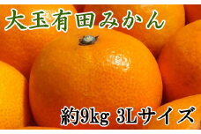 【食べごたえ十分】有田みかん大玉約9kg（3Lサイズ・秀品）※2025年11月中旬～2026年1月中旬頃順次発送（お届け日指定不可）【tec879A】