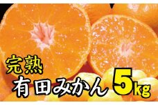 【2022年秋以降発送予約分】＼光センサー選別／【農家直送】先行予約 完熟有田みかん 約5kg 有機質肥料100%  サイズ混合　※2022年12月上旬～2023年1月下旬に順次発送予定（お届け日指定不可） みかん 柑橘類【nuk118】