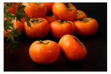 【予約受付】和歌山秋の味覚　富有柿 （ふゆうがき）秀品 約7.5kg【10月中旬～11月下旬に発送予定】【nuk134】