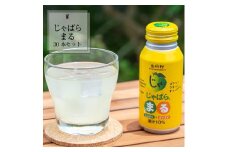 じゃばらまる 190ml×30本【njb141A】