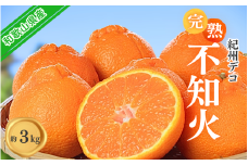 果肉プリプリ♪　完熟紀州デコ(不知火) 約3kg デコポンと同品種 ＜2026年2月下旬頃〜2026年3月中旬頃発送＞ / 不知火 しらぬい デコポン みかん 柑橘 フルーツ 果物 和歌山県産【uot706A】
