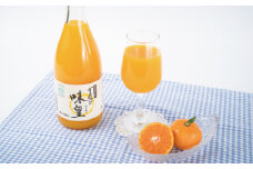 有田みかんの味皇（あじおう）720ml×3本【kjk100】