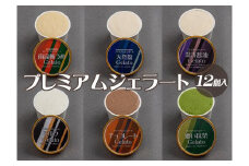プレミアムジェラート 詰め合わせセット（6種類×2個） アイスクリームセット 100mlカップ ゆあさジェラートラボラトリー【kztb701】
