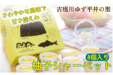 古座川町の 柚子シャーベット 8個入 ゆず 柚子 柚 ユズ フルーツ スイーツ アイスクリーム ジェラート【yuz116A】