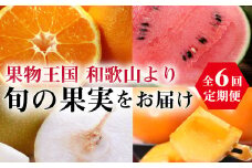【全6回定期便】偶数月にお届け♪和歌山の野菜＆フルーツ堪能定期便！不知火・八朔・すいか・梨・柿・有田みかん【tkb117】