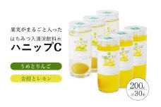 果実入り清涼飲料水　ハニップＣ 2種類セット（30本）【prm001A】
