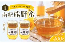 希少ハチミツ 南紀熊野蜜 400g（200g×2個） / 古座川流域で採取した日本みつばちのはちみつ 南紀熊野蜜B はちみつ 国産 日本ミツバチ 【tkd201】