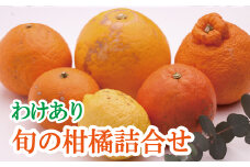 家庭用旬の柑橘詰合せ3kg+90g（傷み補償分）【訳あり・わけあり】【有田の春みかん詰め合わせ・フルーツ詰め合せ・オレンジつめあわせ】【光センサー選別】【ikd041A】