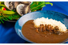 和歌山のアワビ屋さんがつくったあわびカレー 【170g×3袋】＜日付指定OK＞【riz305】