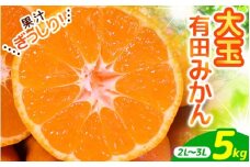 ＼ みかんの名産地 和歌山県産／ 農家直送 大玉 有田みかん 5kg （2L～3L） ひとつひとつ手選別で厳選【2025年11月下旬～1月中旬ごろに順次発送予定】 | みかん フルーツ 果物 くだもの 有田みかん 蜜柑 柑橘【hdm001-1A】