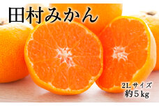 【ブランドみかん】田村みかん約5kg（2Lサイズ・秀品）【2025年11月下旬～12月下旬頃より順次発送】【tec882A】
