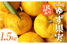 【数量限定 11月13日まで】家庭用 ゆず果実 1.5kg（お届け日指定不可） ユズ 柚子 果実 ゆず 訳あり 【mnr200】