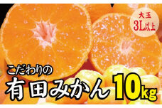 ＼光センサー選別／【農家直送】有田みかん　約10kg  大玉3L以上　有機質肥料100%　※2022年12月初旬～1月中旬に順次発送(お届け日指定不可)【nuk119】
