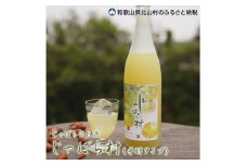 じゃばらのお酒 じゃばら村 720ml×2本（芳醇タイプ） 【njb441】