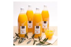 無添加・有田みかん100%ストレートジュース1000ml×4本【ikd109A】