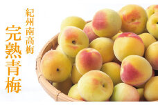 【梅干し用】和歌山の完熟青梅3kg 秀品（サイズ混在）※2023年6月上旬～7月上旬頃に順次発送（お届け日指定不可）紀州南高梅【mat402】