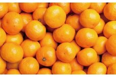厳選　小玉な有田みかん3kg+90g（傷み補償分）【光センサー選果】＜11月上旬より順次発送予定＞【ikd008-2A】