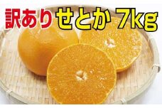 ＼光センサー選別／【訳あり】ちょこっと訳ありせとか 約7kg【ご家庭用】 ※2024年2月下旬より順次発送予定（お届け日指定不可）数量限定【nuk124】