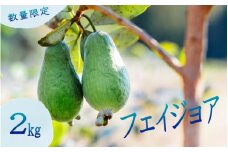【事前予約】＼希少なフルーツ／あゆみファームのフェイジョア 2kg(Mixサイズ)【aym001】