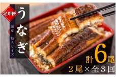 【全3回定期便】大型サイズ ふっくら柔らか 国産うなぎ蒲焼き 2尾×3回 計6尾 約1020g /  うなぎ ウナギ 鰻 国産 蒲焼 蒲焼き たれ 人気 定期便 ふるさと納税【tkb309】