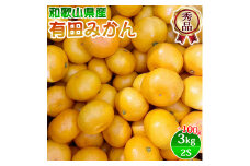 秀品 有田みかん 和歌山県産 2Sサイズ 3kg +100g【2024年1月に順次発送】/ みかん フルーツ 果物 くだもの 有田みかん 蜜柑 柑橘【ktn004-1】