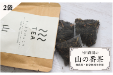 【上田農園】土地の恵みだけで育てた　無農薬　山の番茶（12パック×2袋) /  茶 お茶  番茶　無農薬　有機栽培　無添加【ued003】