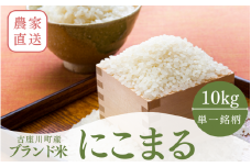 秘境の地からお届けする あゆみファームのお米 にこまる 10kg【2025年10月下旬頃から順次発送】/ 米 お米 にこまる 10kg 精米 和歌山【aym014】
