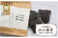 【上田農園】土地の恵みだけで育てた　無農薬　山の番茶（12パック×1袋) おまけ付き（一匙ウコン粉末）/  茶 お茶  番茶　無農薬　有機栽培　無添加【ued005】